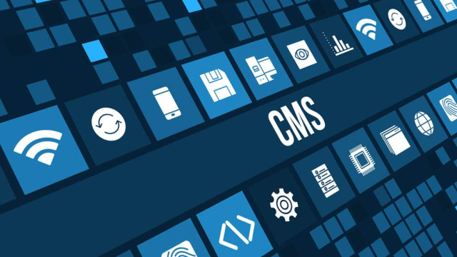 website content management illustration for WordPress CMS